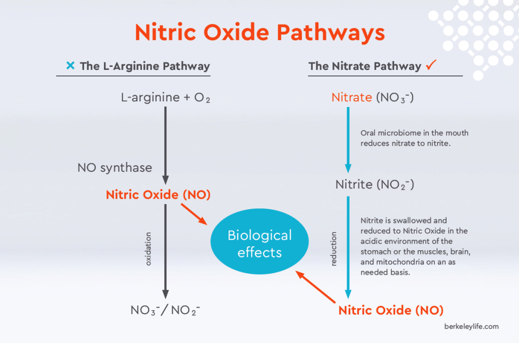 Nitric Oxide Pathways - Holistic Health and Laser Hair Removal Clinic